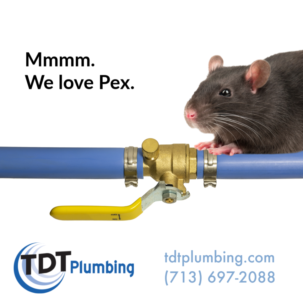 Rodents and Pex TDT Plumbing