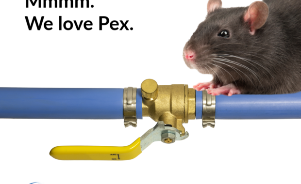 Rodents and PEX Pipe Damage